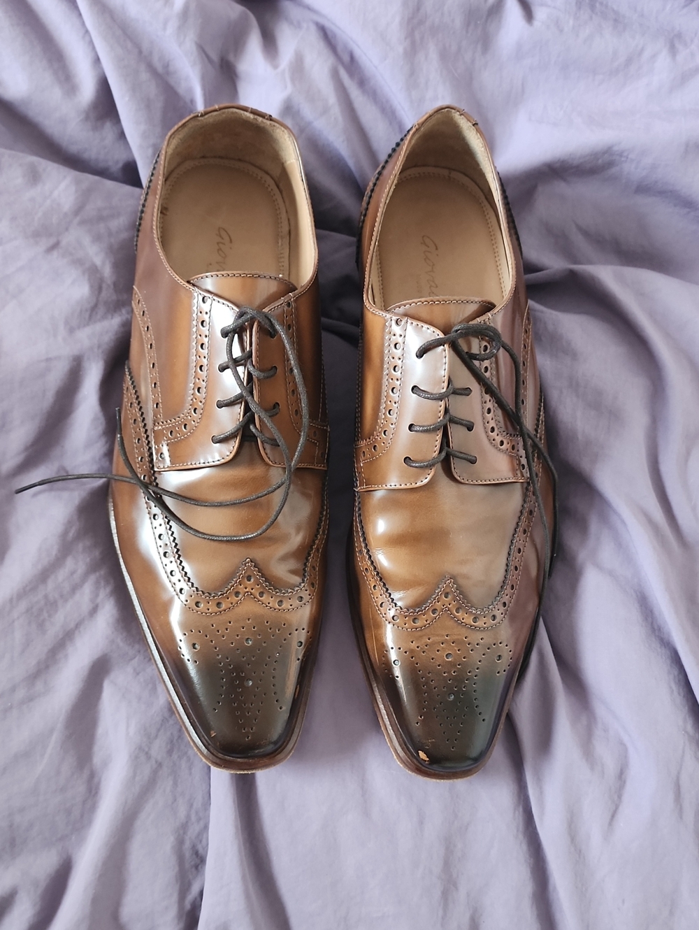 Giovacchini Men's Brown Wingtip Dress Shoes
